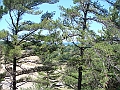 Western Michigan [2010] 031
